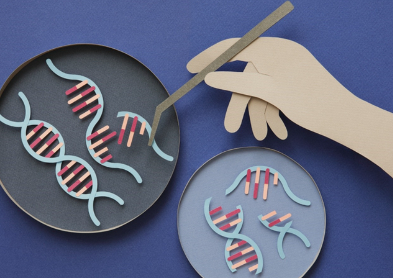 杜氏基因疗法晚期试验折戟