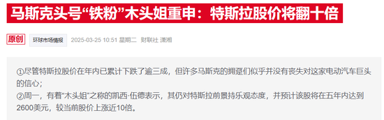 特斯拉暴跌后“木头姐”仍力挺：至少马斯克淡